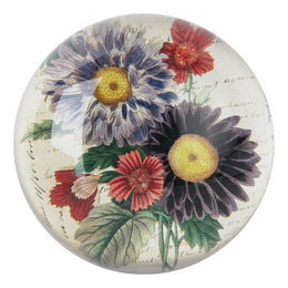 Aster Bouquet