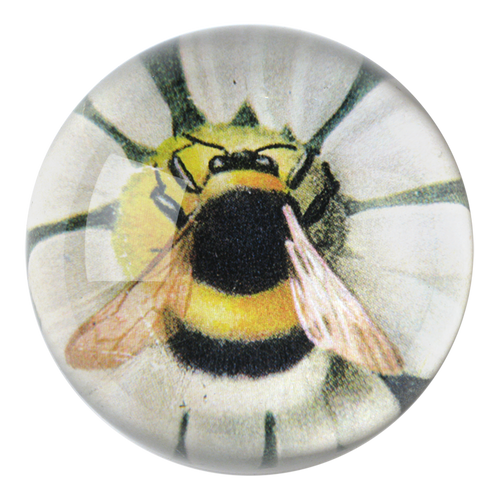 Fuzzy Bee on Green Daisy dome paperweight