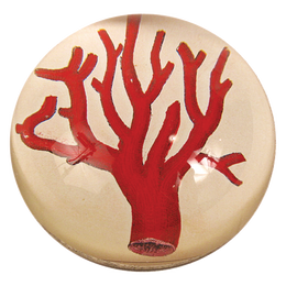 Red Coral