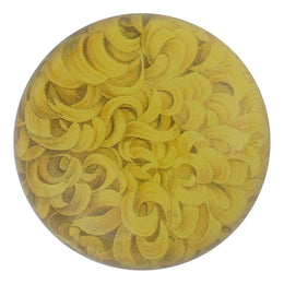 Yellow Chrysanthemes