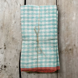 Set of 4 Gingham Napkins in Aqua & Orange