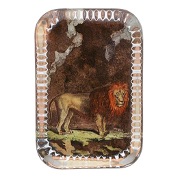 Lion Pl. 163
