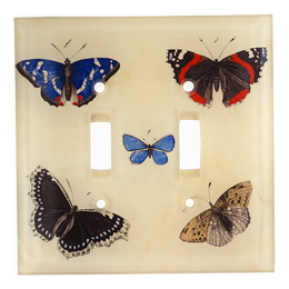 Butterflies