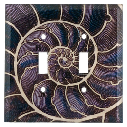 Blue Nautilus