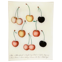 Cherry Chart - LAST CHANCE