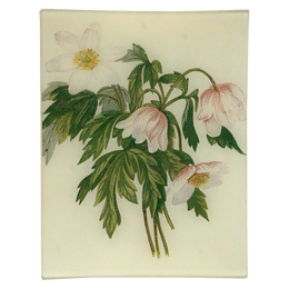 Wood Anemone