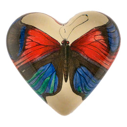 Lepidoptera (Red & Blue Butterfly)