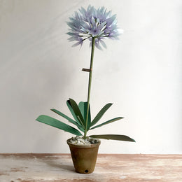The Green Vase Potted Allium