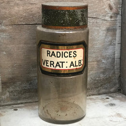 19th Century Apothecary Jar - Radices Verat: Alb: