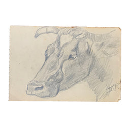 Evert Rabbers Cow Drawing 34