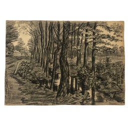 Evert Rabbers Landscape Drawing 59