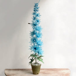 The Green Vase Potted Delphinium