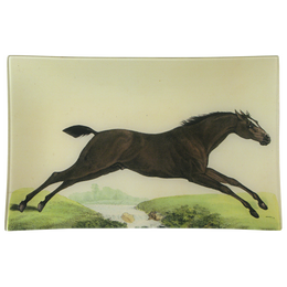 Jumping Horse