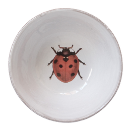 Ladybug Bowl