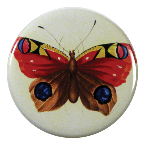 Painted Papillon