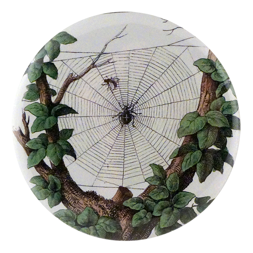 Smaller Leafy Web