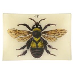 Bee 38