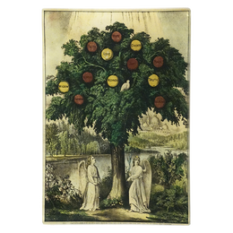 Twelve Manner of Fruit (Tree) - FINAL SALE