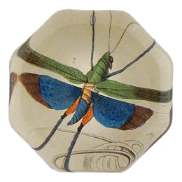 Flying Locust
