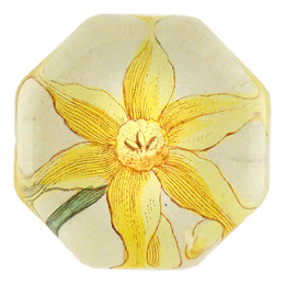 Yellow Narcissus - LAST CHANCE