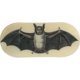 Human Bat