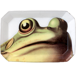 Frog Platter