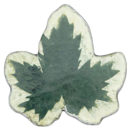 Leaf Platter 58