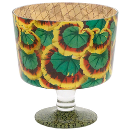 Pelargonium Achievement