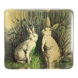 Two Rabbits