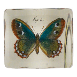 Fig. 6 Butterfly