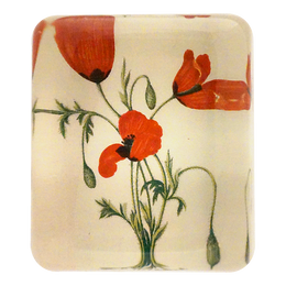 Long Prickly-Headed Poppy