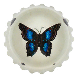 Blue Brown Butterfly