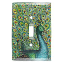 Coy Peacock