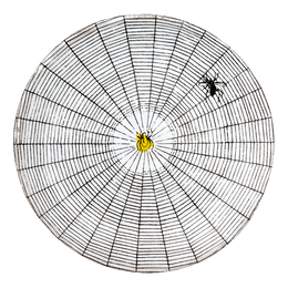 Spider Web Saucer