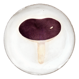 Agaric Emetique Saucer