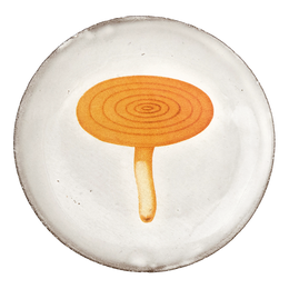Agaric Caustique Saucer