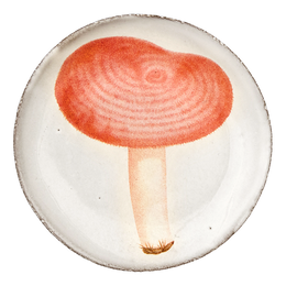 Agaric Meurtier Saucer