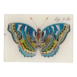 Blue Green Butterfly Fig. 3 bis