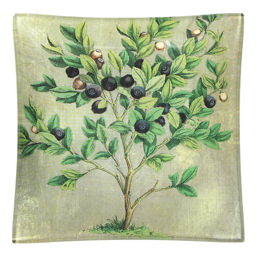 Blueberries - FINAL SALE