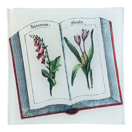 Plant Book - FINAL SALE