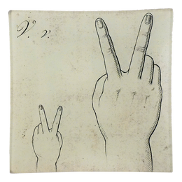 Sign Language Letter V