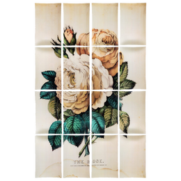 Rose (16 Pieces)