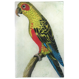 Parrot #6 - Yellow