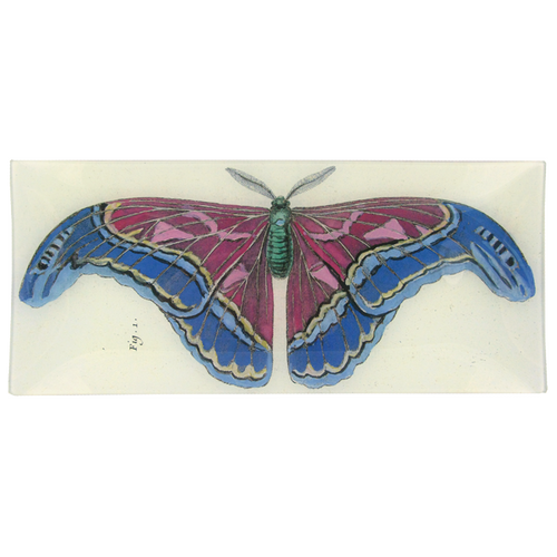 Blue Pink Butterfly - FINAL SALE