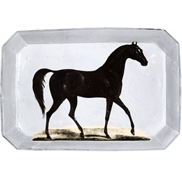 Arabian Horse Platter 