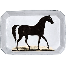 Arabian Horse Platter