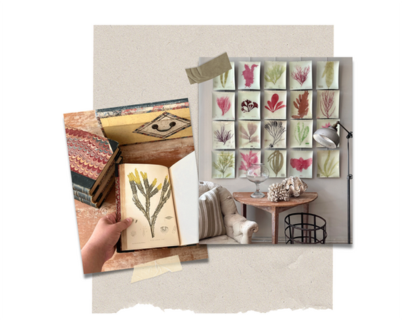 Decoupage Feature: Salted Blooms