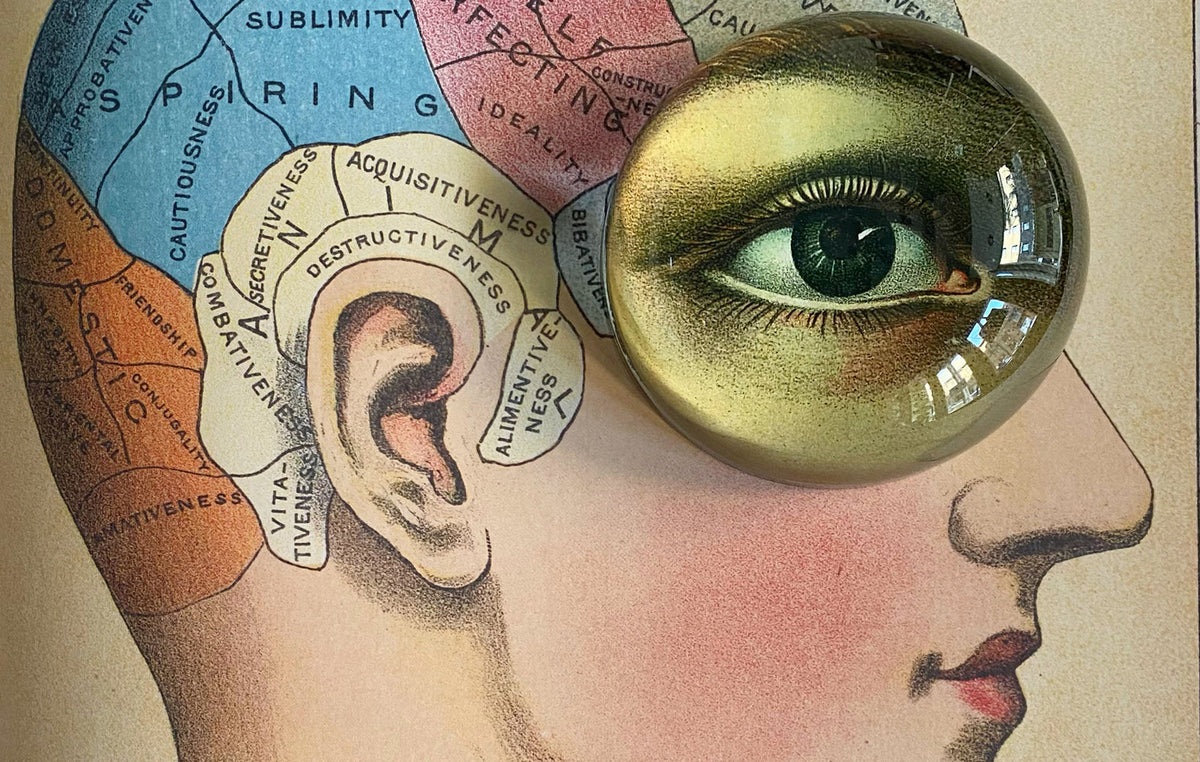 Anatomy