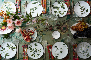 John Derian x Astier de Villatte Plates & Bowls