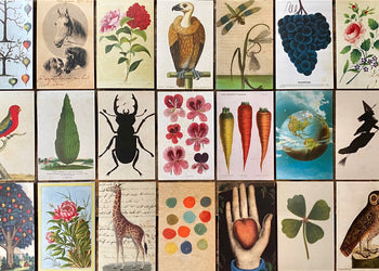 Cards & Tags